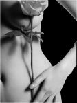 Fremiti d'amore