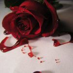 Ebbra d'amore