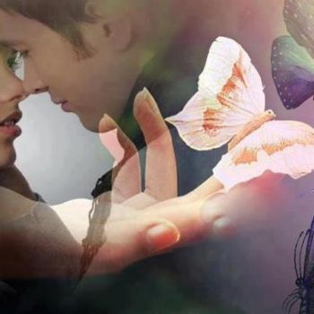 Libro d'amore  