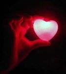 La forma del cuore