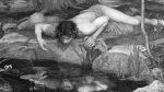 Coma Narciso