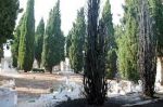 2 novembre al cimitero