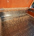 Quel che resta del torbido