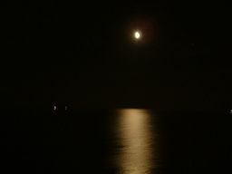 notte, quando entra  