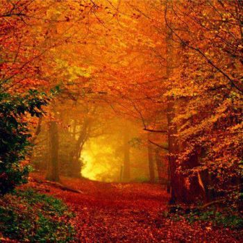 Autunno