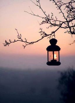 Un sottile silenzio