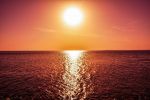 Vita solare