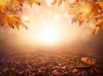 Novembre