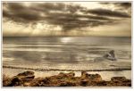 Il mare d'autunno  