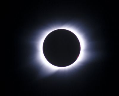 Sole nero