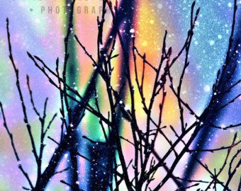 Alberi