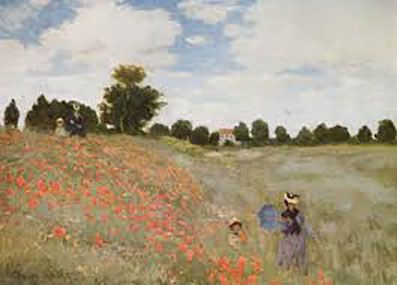 Campo di papaveri