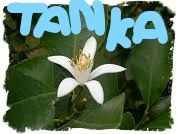 Il Tanka dAprile