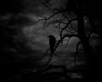 Fantasmi