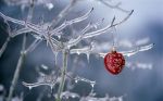 Finir l'inverno