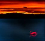 Rosso di sera