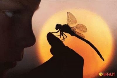 Adesso... vola!