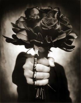 Violenza
