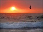 Il mio mare
