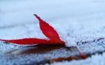 Di nuovo inverno