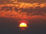 Ti ho pensato all'alba