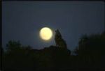 Notte dopo notte