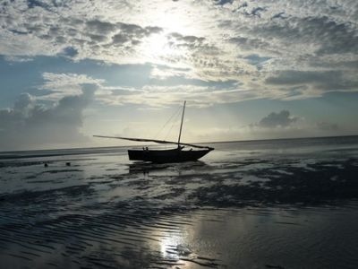 La barca