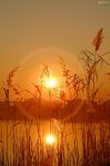 Aspettami tramonto