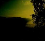 Notte damor che accompagna
