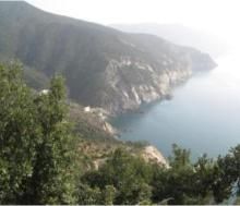 Lamore c e si pu sempre trovare