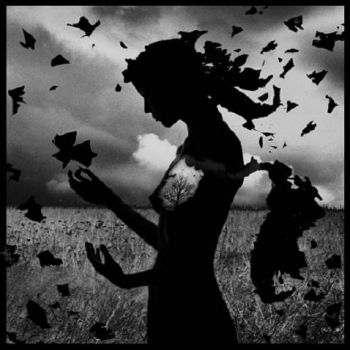 La notte