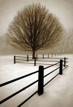 La nevicata