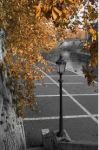 L'autunno di citt