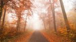 Generoso Autunno