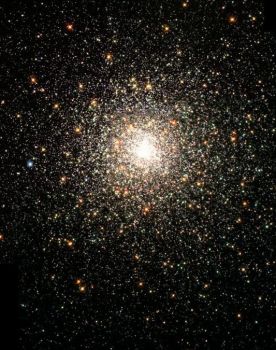 Rete di stelle