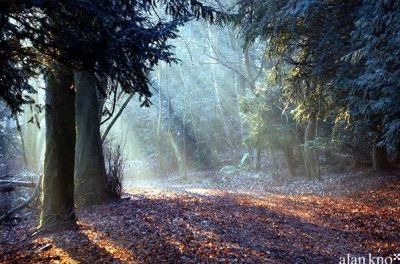 In silenzio