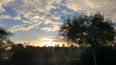 Le tue poesie