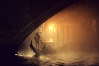 Sogni tra la nebbia