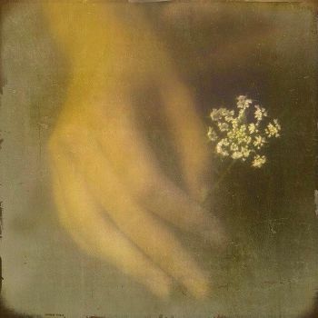 Impronte