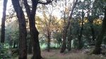 Ai margini del fiume