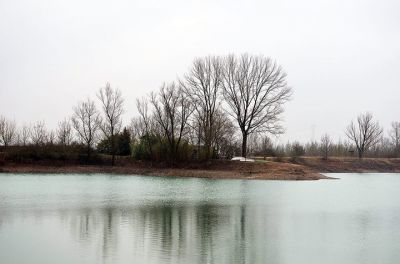 Fuscelli