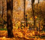 Autunno