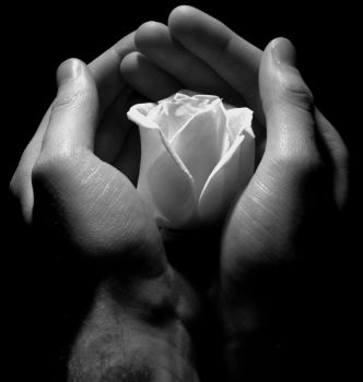 Questo mio, tuo cuore