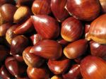 Il sapore delle castagne