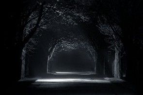 La vie en gris