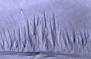 Umbradamas