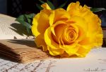 Il Tuo Corpo, il Tuo Amore