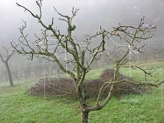 "L'alba del 23 gennaio 2012"  