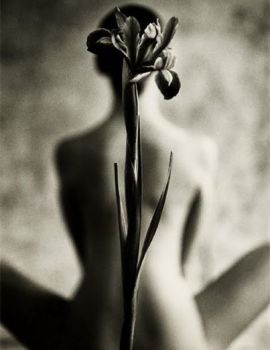 Fiore damore