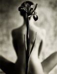 Fiore damore